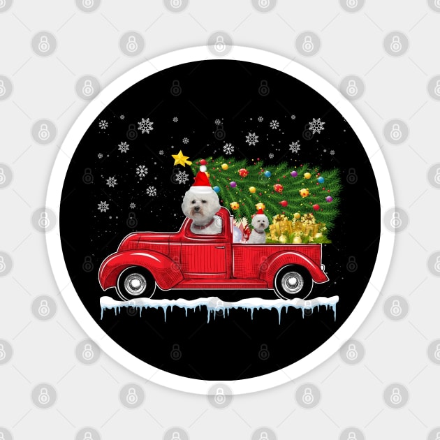 Red Truck pick up Bichon Frise Christmas  lover gift T-Shirt Magnet by CoolTees